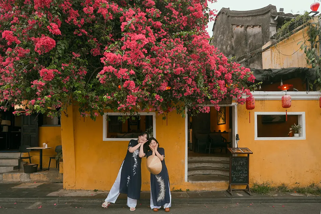 A photoshoot in Hoi An with yellow walls and bougainvillea flowers.